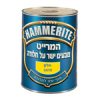 צבע למתכת חלק